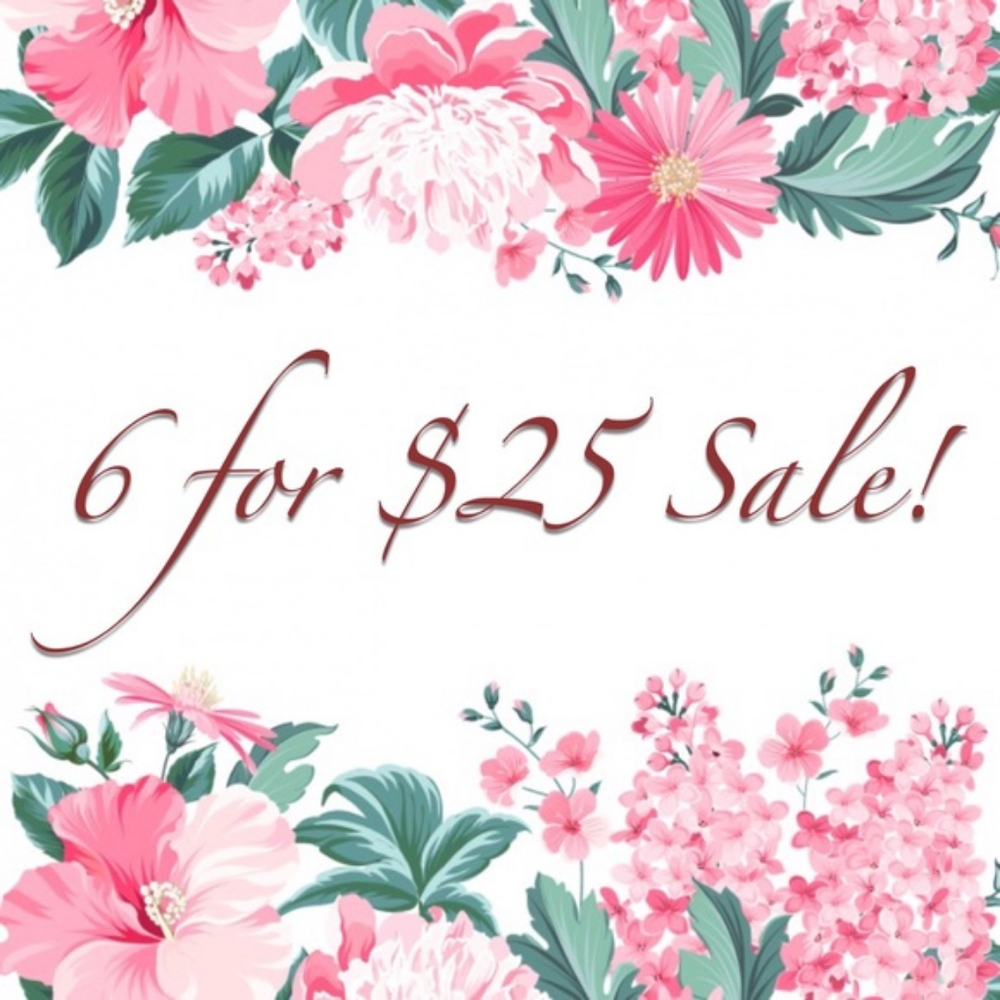 6 items for 25.00 - read below